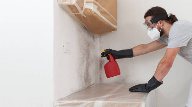 Attic Mold Remediation treatment on roof deck in Mantua